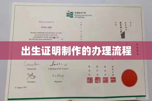 兰西出生证明制作的办理流程